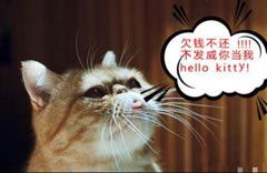 12星座爆笑萌宠表情都是什么样的?