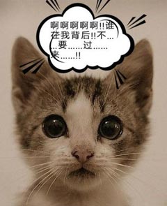 12������Ц�ȳ���鶼��ʲô���ģ�