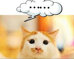 12星座爆笑萌宠表情都是什么样的?