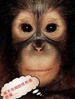 12������Ц�ȳ���鶼��ʲô���ģ�