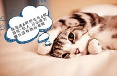 12������Ц�ȳ���鶼��ʲô���ģ�