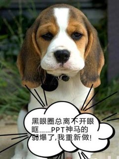 12������Ц�ȳ���鶼��ʲô���ģ�