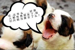 12������Ц�ȳ���鶼��ʲô���ģ�