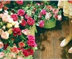 ����ݱ���滨��