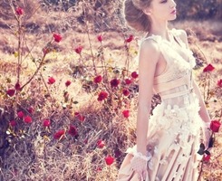 ❀������