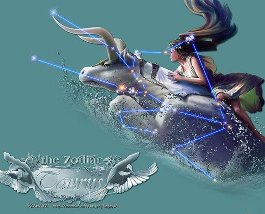 12����������ף����