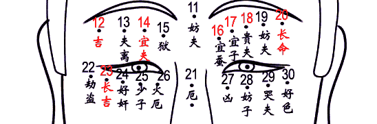 ü��������������ͼ��