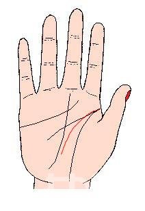 Ů����������ͼ��