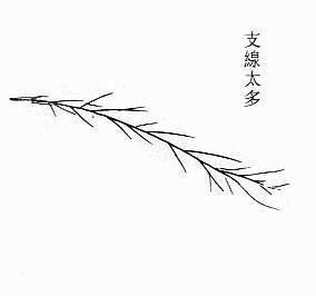 Ů����������ͼ��