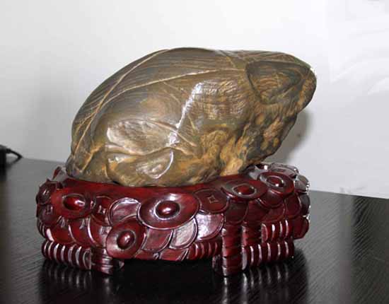 �в����޼����� �ڷŷ�λ�н���