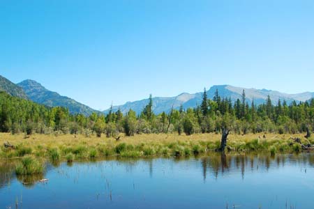 �������12������������أ�