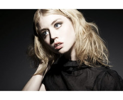 allison harvard