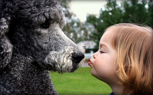 射手座自由散漫