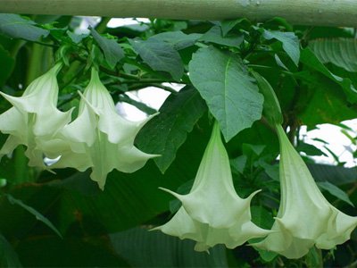 12����Ů��ר������