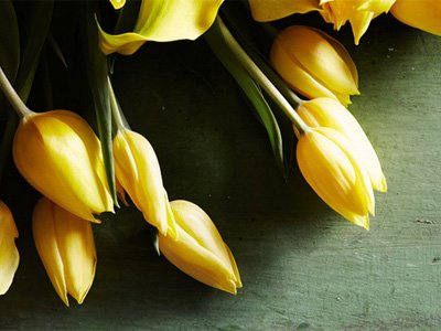 12����Ů��ר������