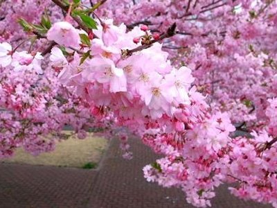 12����Ů��ר������