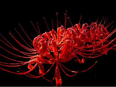 12����Ů��ר������