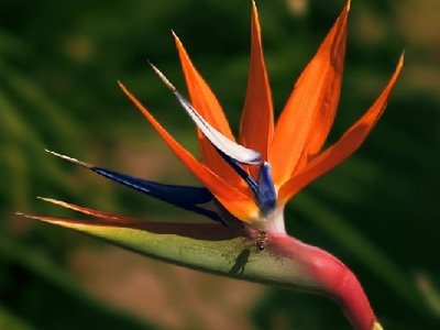 12����Ů��ר������