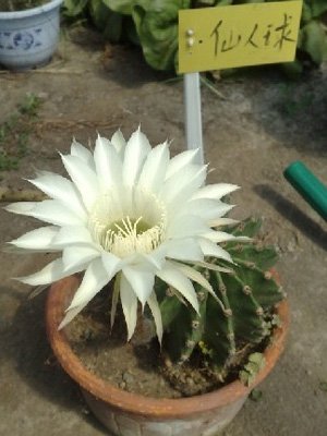 12����Ů��ר������