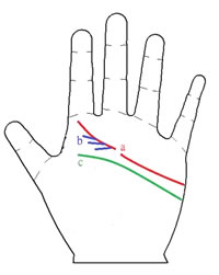 ͨ�����࿴�㸺�ĵĻ���