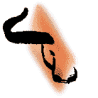 征文:星座做啥最难