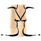 征文:星座做啥最难