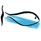 ���ģ�������ɶ����