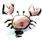 ʮ������һ�ܽ�����