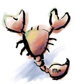 ʮ������һ�ܽ�����