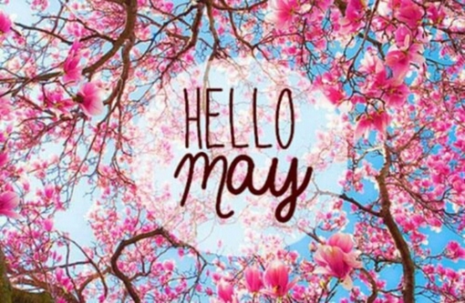 唐立淇2014年5月水瓶座运势