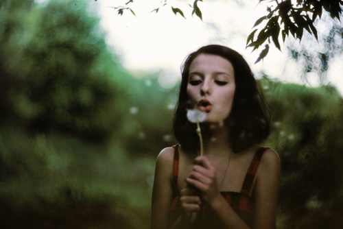 星座里面哪个女生最文静