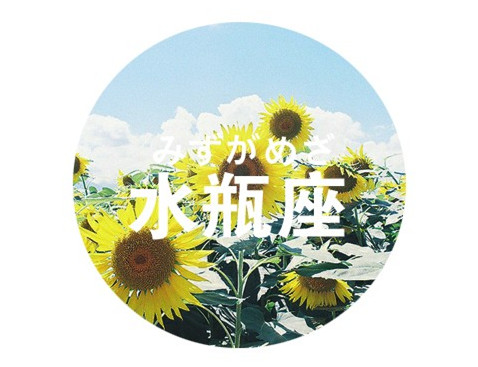 苏珊米勒2014年2月水瓶座运势