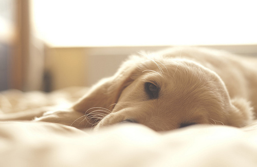 12星座对于兼职怎么看