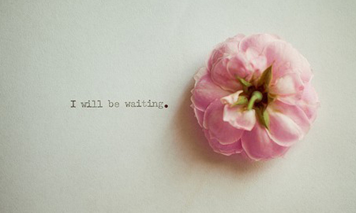 12星座宁愿高傲地单身着的理由