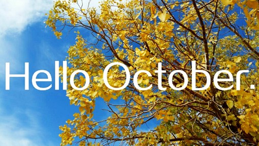 闹闹女巫店2014年12星座周运势1008~1014