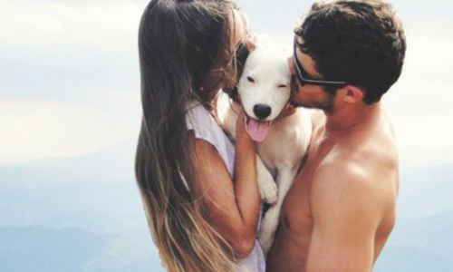 找老公看样不看心的星座