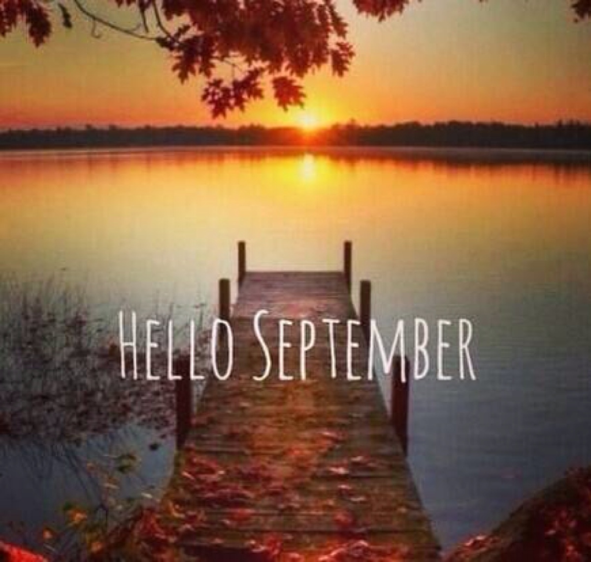 闹闹女巫店2015年12星座周运势0916~0922