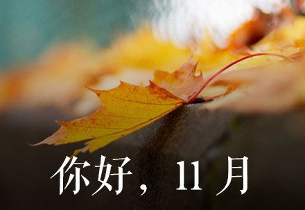 闹闹女巫店2015年12星座周运势1116~1122