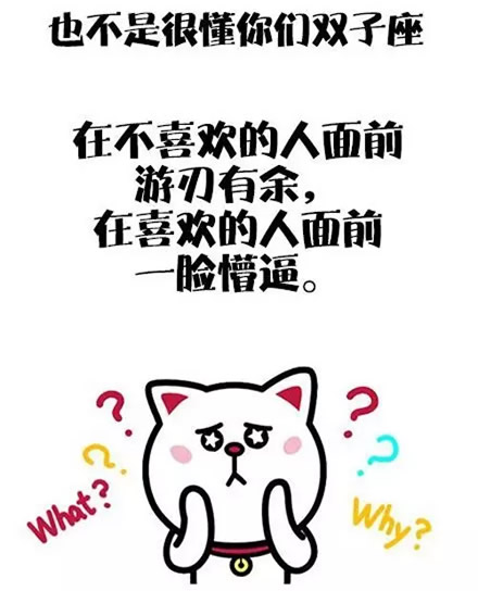 双子座 双子座