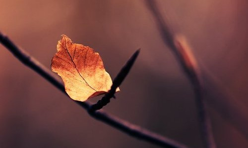 那些倾向于“慢就业”的星座