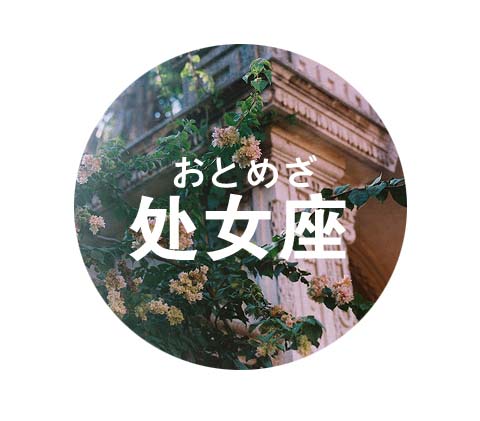 苏珊米勒2017年3月份处女座运势