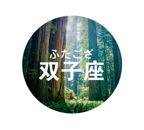 苏珊米勒2017年6月份双子座运势