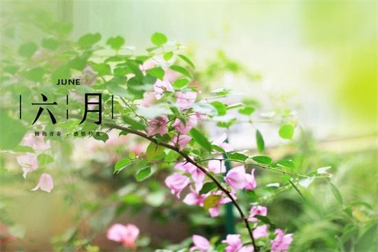 闹闹女巫店2017年12星座周运势0619~0625